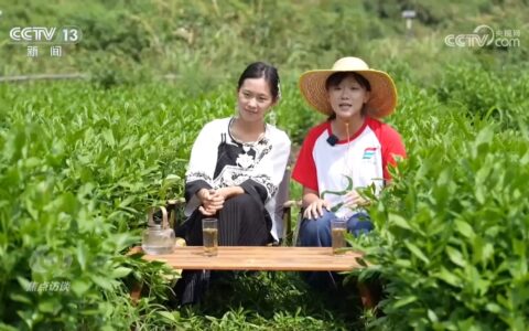 焦点访谈 | 扎根基层沃土 广大青年在祖国最需要的地方绽放光彩