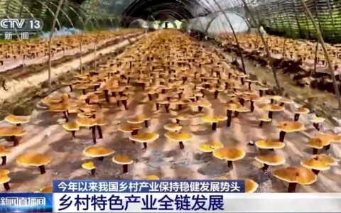 今年以来我国乡村产业保持稳健发展势头